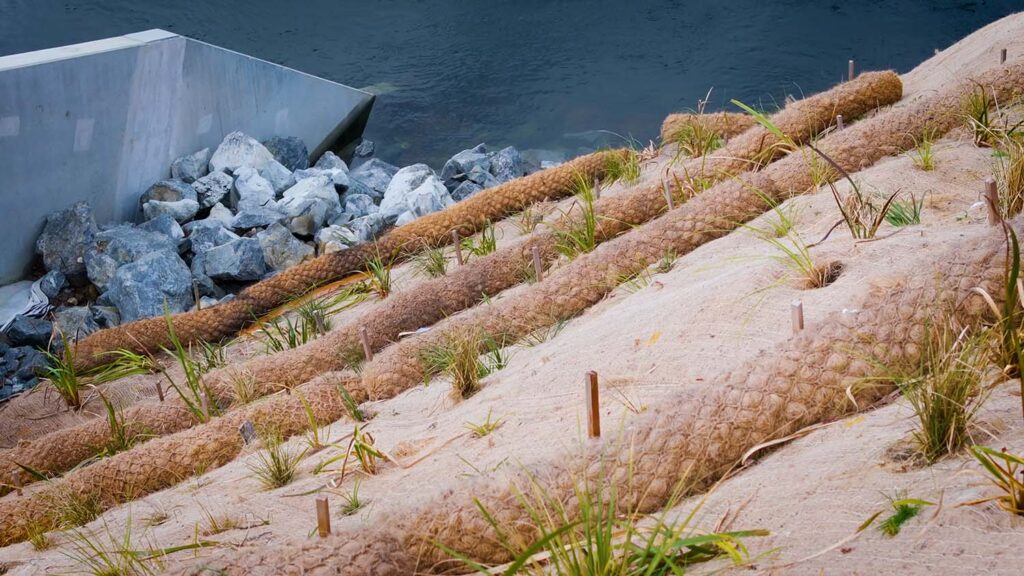 Erosion logs - Cirtex
